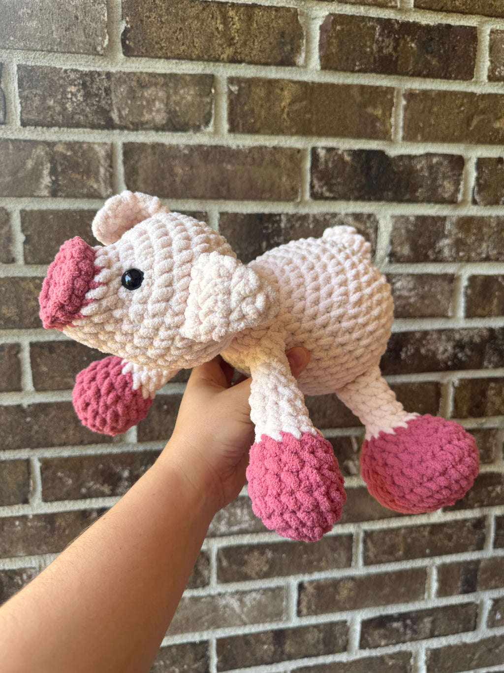 Pig
