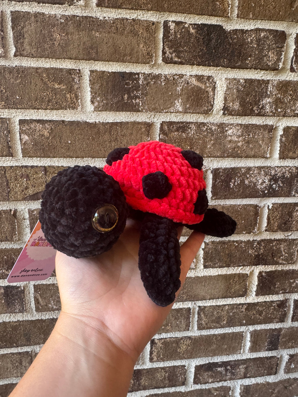 Lady Bug Turtle