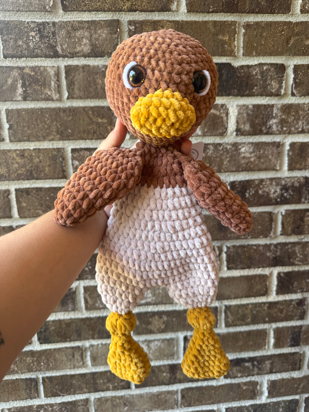 Brown Duck